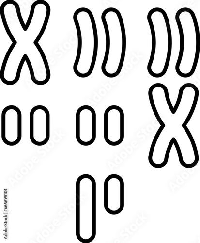 karyotype  icon