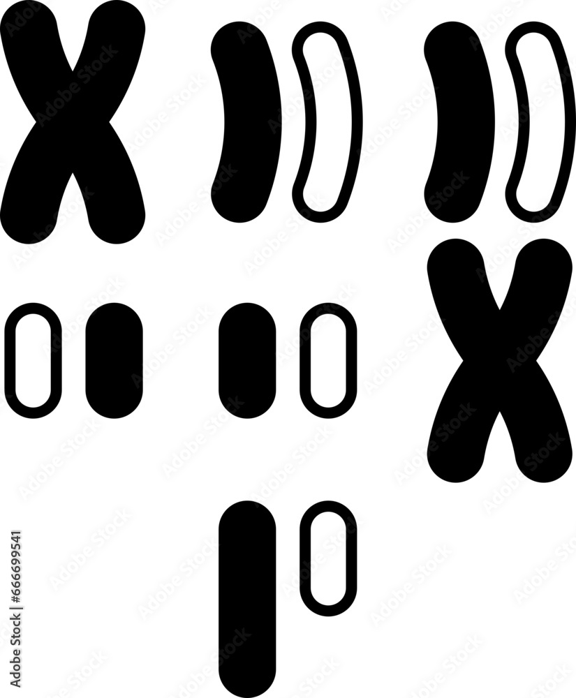 Obraz premium karyotype icon