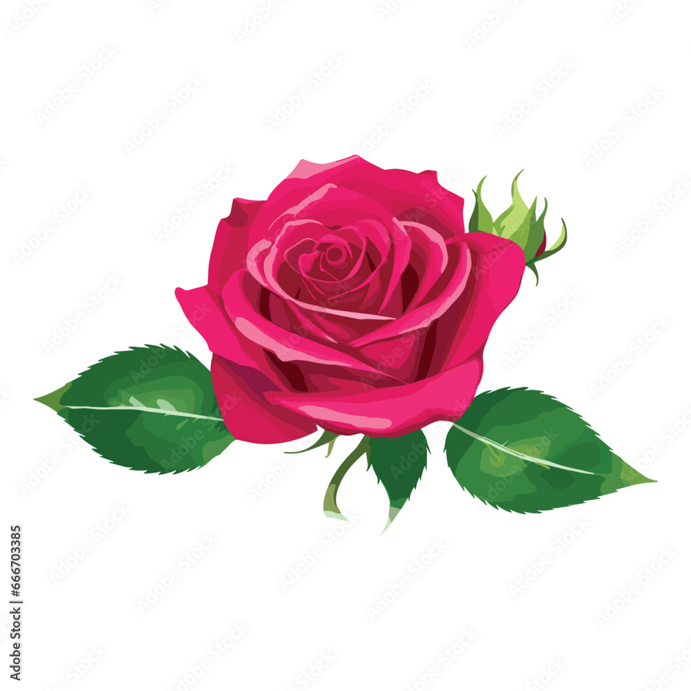 Naklejka premium Rose 01