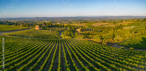 Elevated view of vineyards near San Gimignano at sunrise, San Gimignano, Tuscany photo