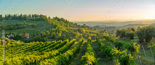 View of vineyards and landscape at sunrise near San Gimignano, San Gimignano, Province of Siena, Tuscany photo