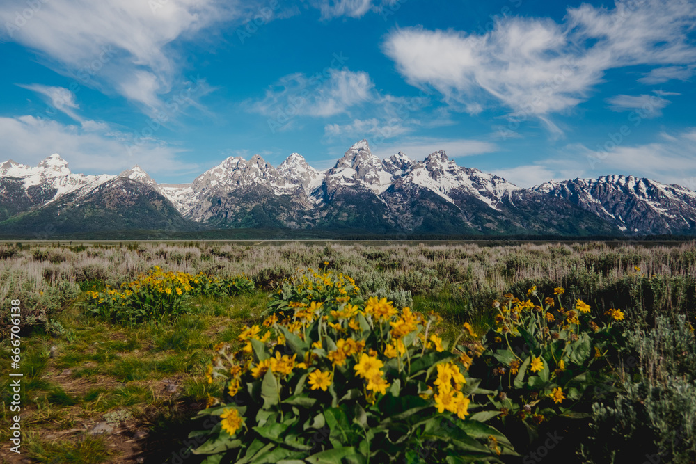 Spring in the Grand Tetons: Majestic Peaks, Blue Sky, and Blooming Wildflowers - Horizontal 