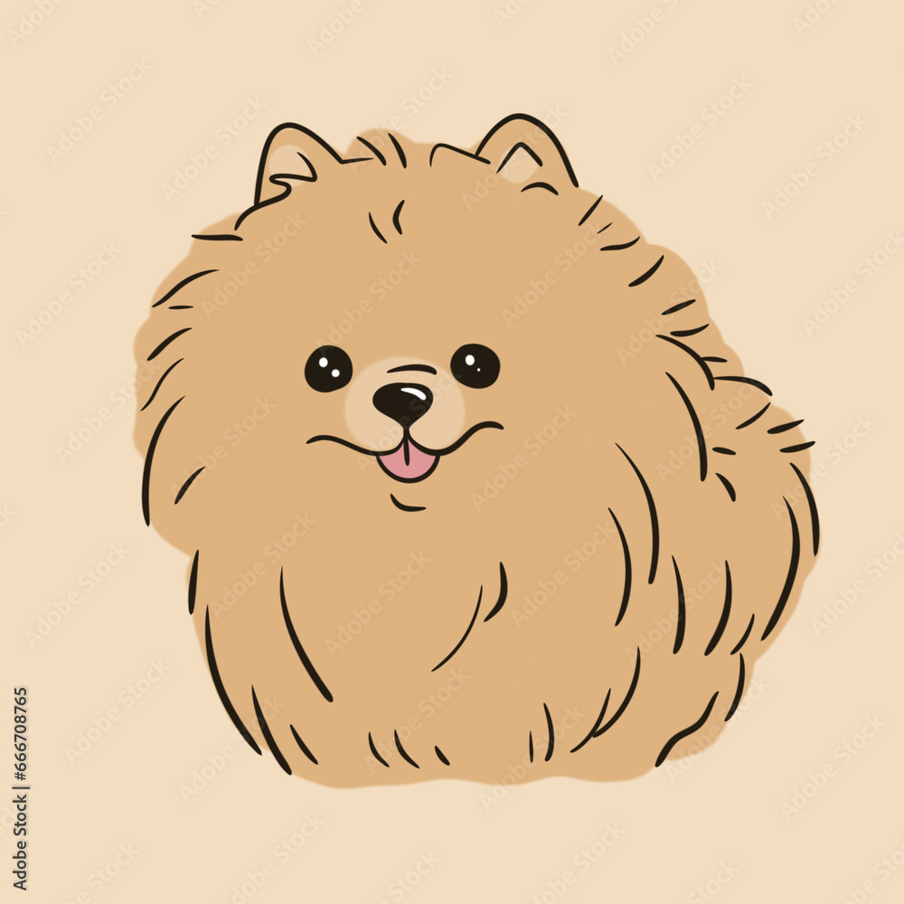 Cute little beige Pomeranian Spitz, line art isolated on a transparent white background Cute little beige Pomeranian Spitz, line art isolated on a transparent white background