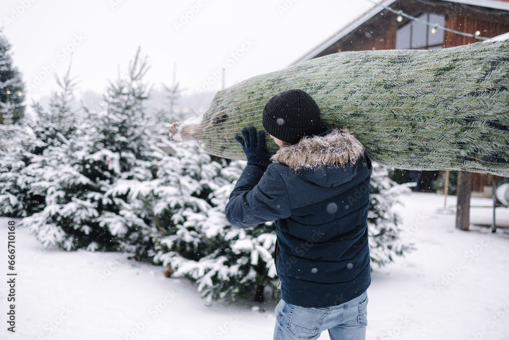 Back view of man carries Christmas tree to his home. Man buy fir tree and take in to the car. Winter mood
