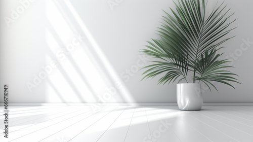 Fond composé d'un mur blanc, avec lumière et ombre et plante décorative. Ambiance calme, épurée, luxe. Arrière-plan pour conception et création graphique.