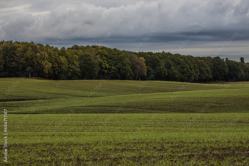 Fototapeta premium Green Skåne Landscape with hills