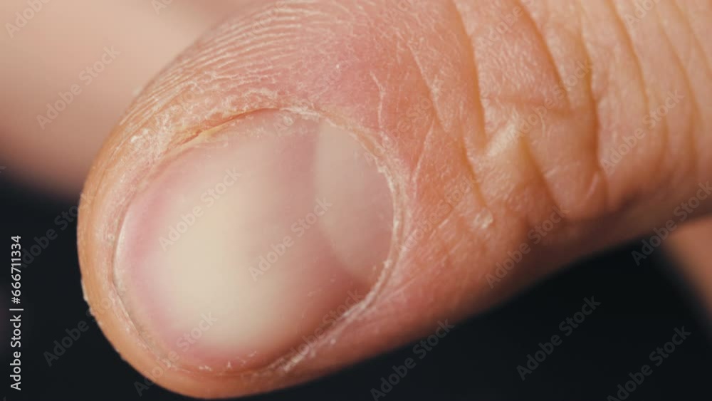 Close-Up of Skilled Craftsman's Workman Hands Close-Up of Skilled Craftsman's Workman Hands