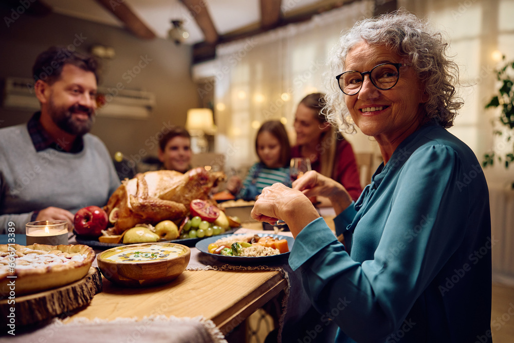 Happy senior woman enjoys in dinner with her family on Thanksgiving and looking at camera. Happy senior woman enjoys in dinner with her family on Thanksgiving and looking at camera.