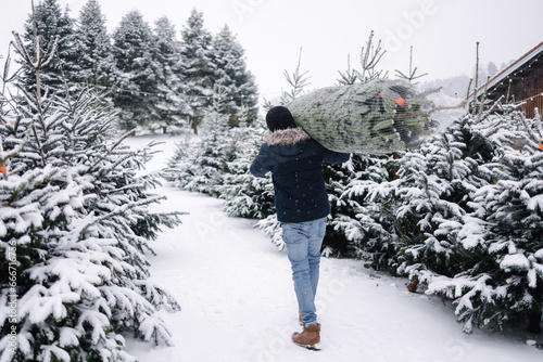 Back view of man carries Christmas tree to his home. Man buy fir tree and take in to the car. Winter mood