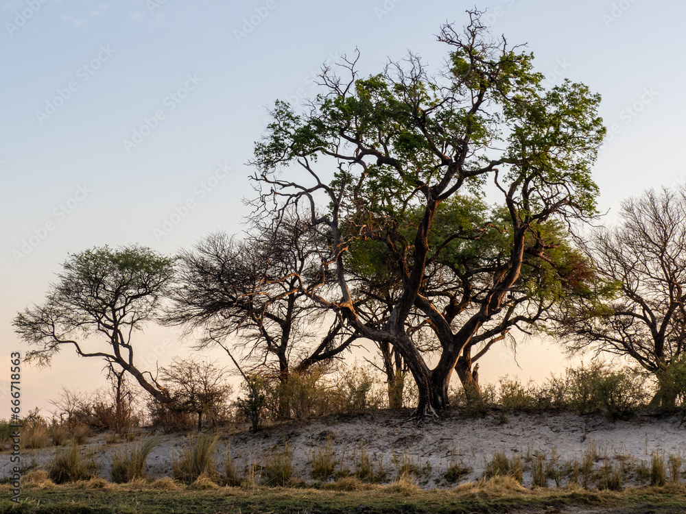 Botswana Botswana