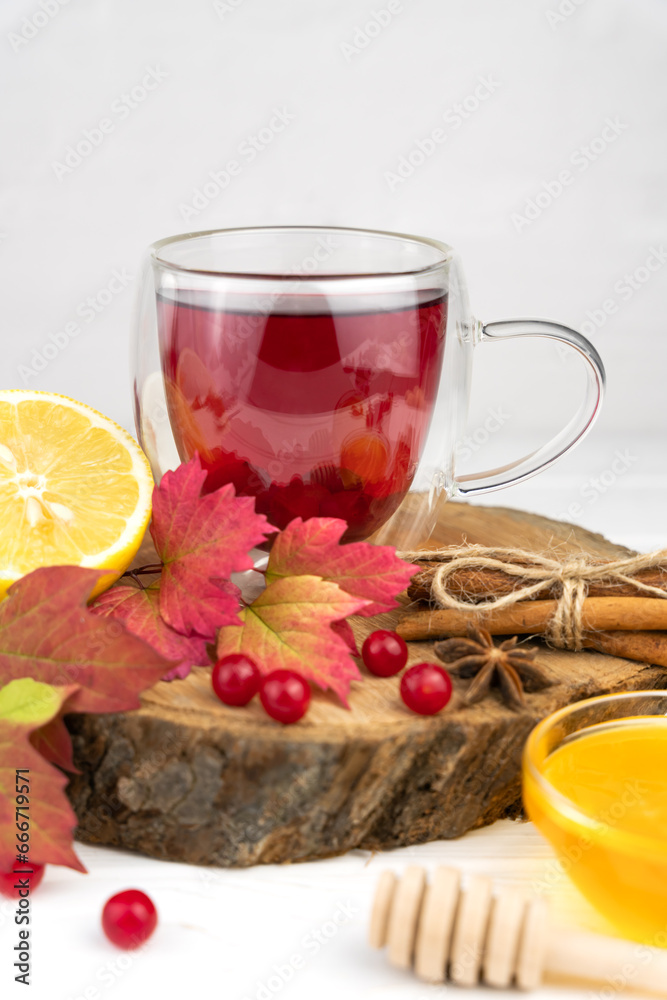 Healthy tea with lemon, cinnamon and honey. Close-up. Selective focus. Healthy tea with lemon, cinnamon and honey. Close-up. Selective focus.