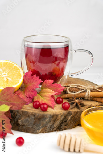 Healthy tea with lemon, cinnamon and honey. Close-up. Selective focus.