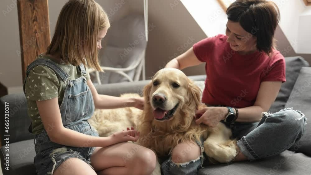 Pretty girl and preteen child family petting golden retriever dog sitting on sofa. Mother and daughter with purebred pet doggy at home smiling Pretty girl and preteen child family petting golden retriever dog sitting on sofa. Mother and daughter with purebred pet doggy at home smiling