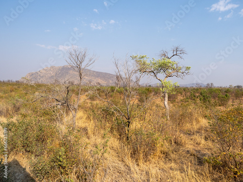 Botswana © Peter