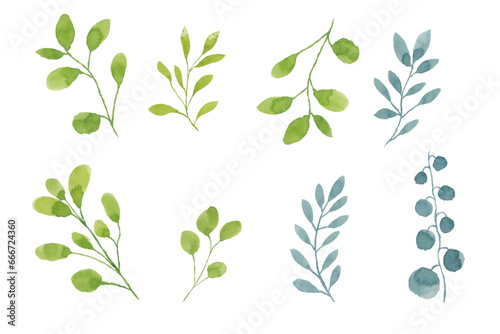 Assortment of watercolor leaves illustration set - green leaf branches collection for wedding, greetings, stationary, wallpapers, fashion, background. olive, green leaves, Eucalyptus etc