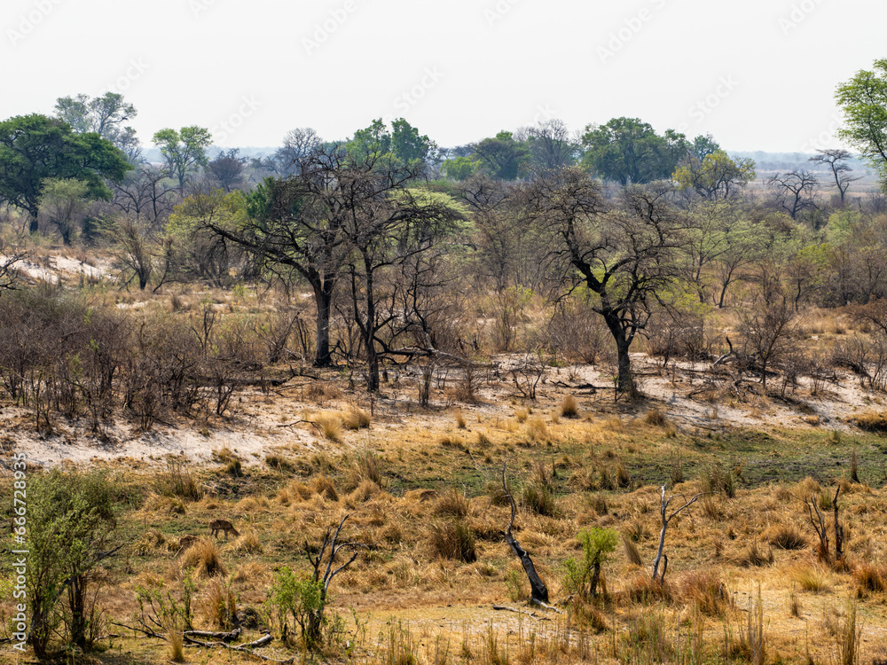 Botswana