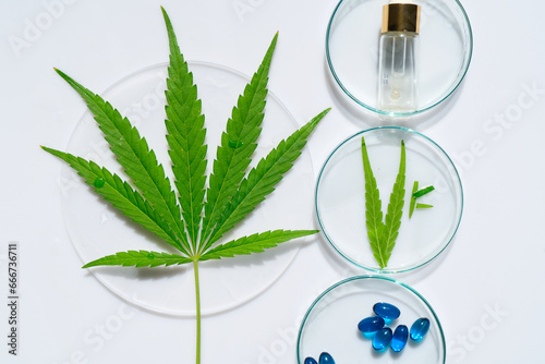 cannabis treatment concept - beauty pills and oil with cannabis leaf, medicinal use of cannabis oils concept