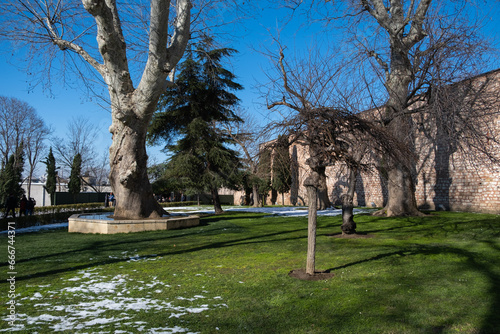 Winter photos of Gulhane Park (İBB Gülhane Korusu) in Istanbul, Turkey photo