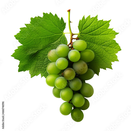 Grapes with leaves clip art