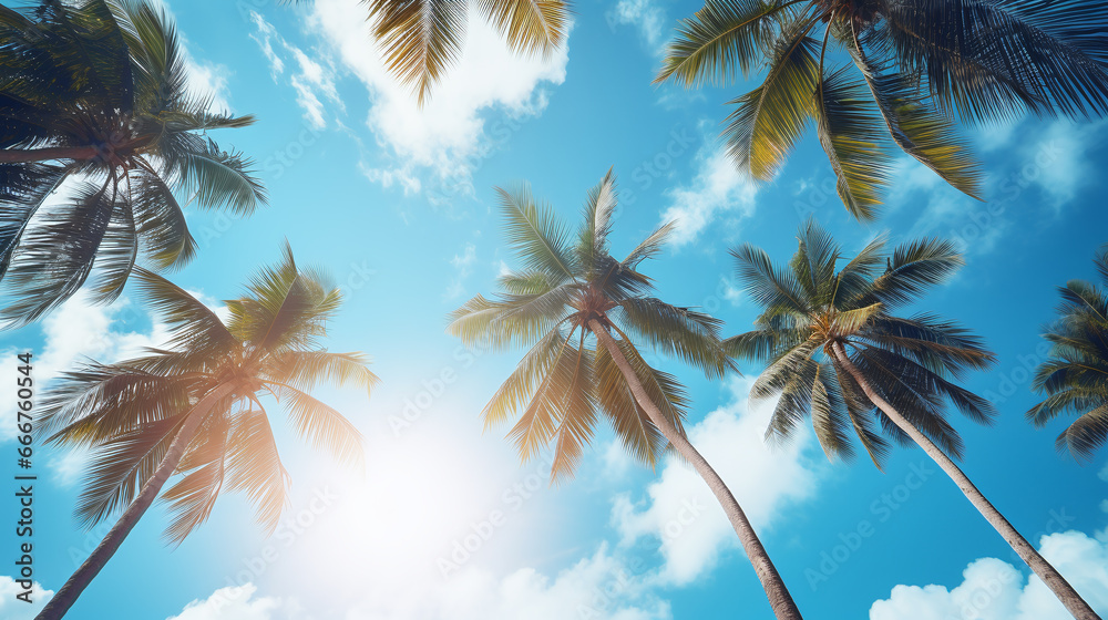 vacation picture with palm tree in the sky in retro style vacation picture with palm tree in the sky in retro style