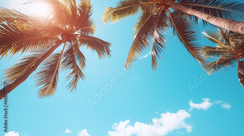 vacation picture with palm tree in the sky in retro style
