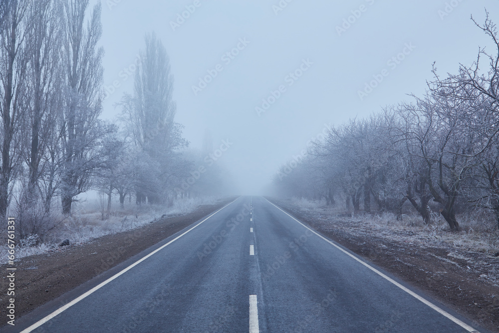 Winter morning with frosted trees, foggy atmosphere, and a disappearing asphalt road.