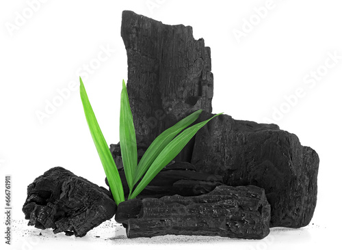Natural wooden charcoal with bamboo leaves isolated on a white background. Hard wood charcoal powder has medicinal properties. photo
