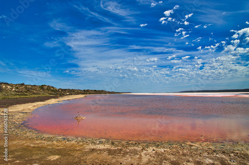 The remarkable Pink Lake (Hutt Lagoon) near Port Gregory, Kalbarri, Coral Coast, Western Australia
 photo