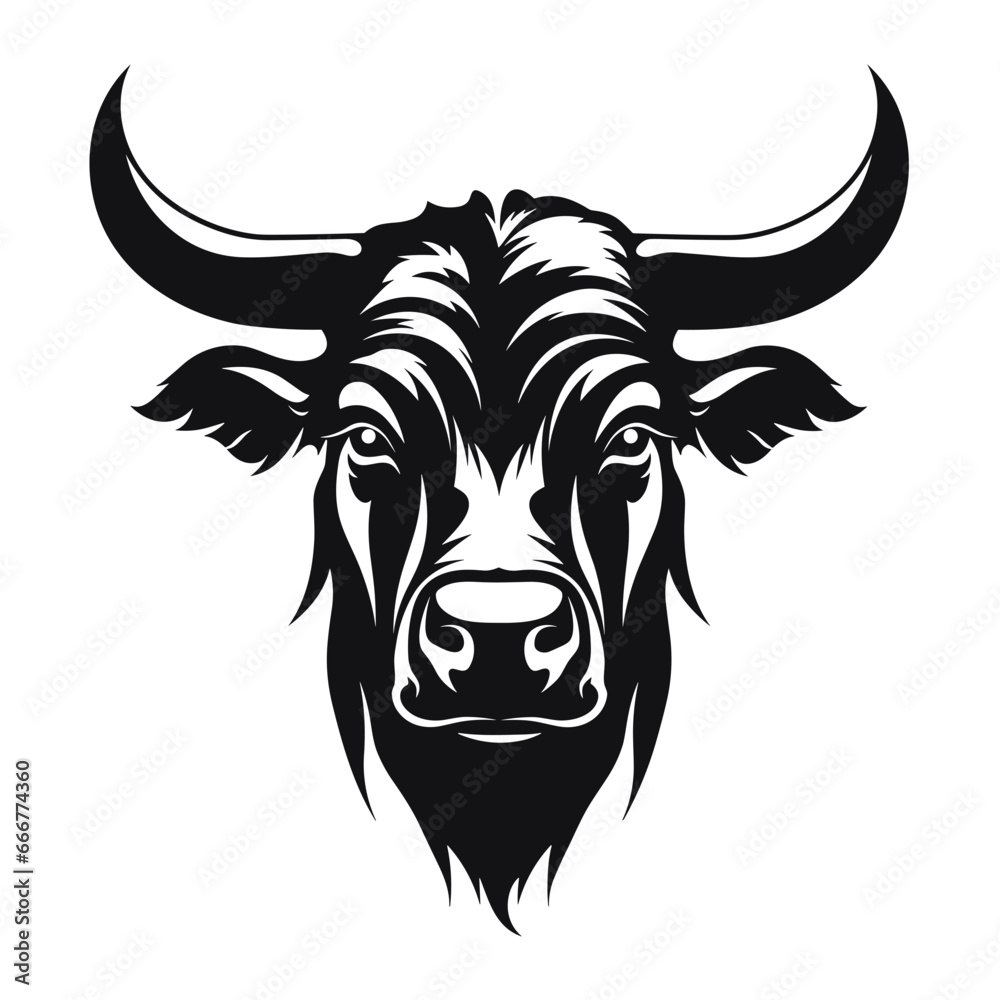 Black and White Bull's Head