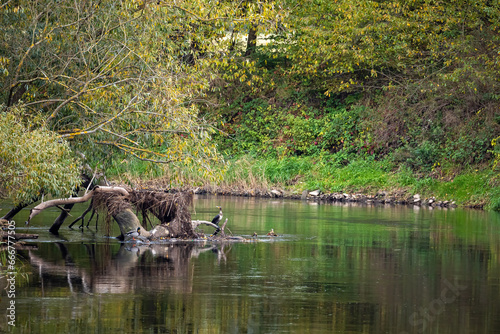 The Werra River between Hesse and Thuringia at Herleshausen photo