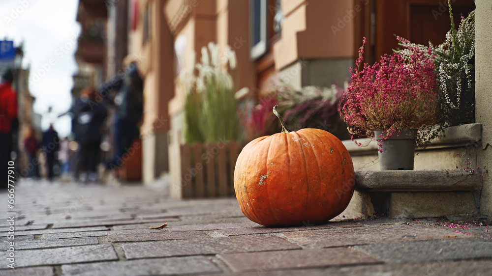 Halloween pumpkin on a sunny autumn street