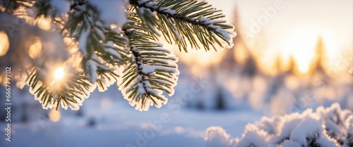 a beautiful and magical nature view - winter season, christmas time photo