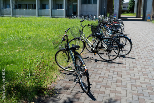 Group of bicycles on the road side on a sunny day