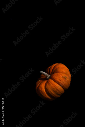 Orange Pumpkin
