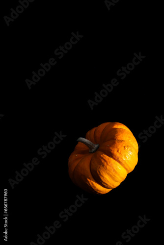 Orange Pumpkin