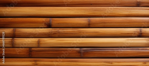 Bamboo wood's exclusive linear patterns and genuine, organic coloring