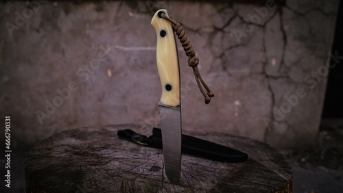 Handmade hunting knife in a leather sheath photo