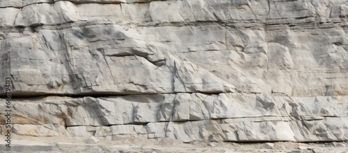 A background that emphasizes the porous and earthy texture of limestone rock