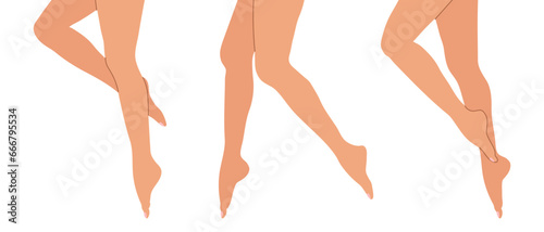 Set of female elegant slender legs. Various female legs. Collection, vector