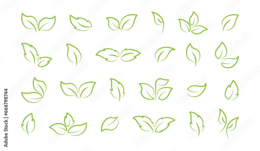 Leaf line icon, vegan plant, fresh organic set, leaves tree, eco food, linear branch, sketch sprout, green foliage. Nature vector illustration isolated on white background - obrazy, fototapety, plakaty 