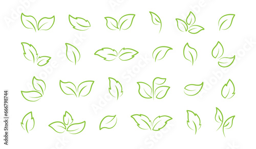 Leaf line icon, vegan plant, fresh organic set, leaves tree, eco food, linear branch, sketch sprout, green foliage. Nature vector illustration isolated on white background