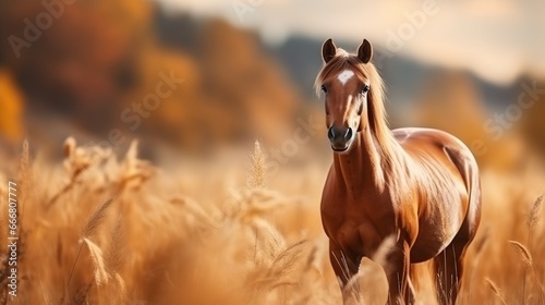 Beautiful brown horse galloping in the field at sunset. AI generated image