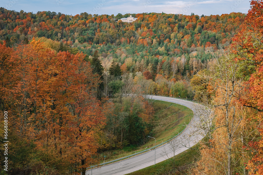 Fototapeta premium road in autumn