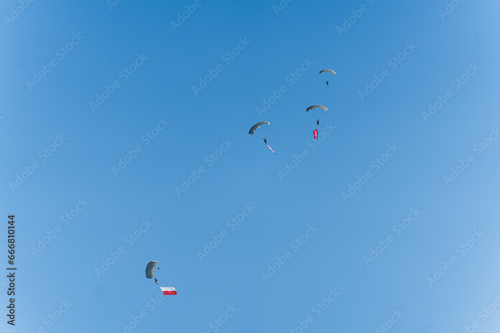 Several military parachute jumpers with huge Polish flags against blue sky. Paratroopers with the flag of Poland. High quality photo