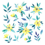 Big set with pretty delicate yellow flowers and branches. Vector illustration