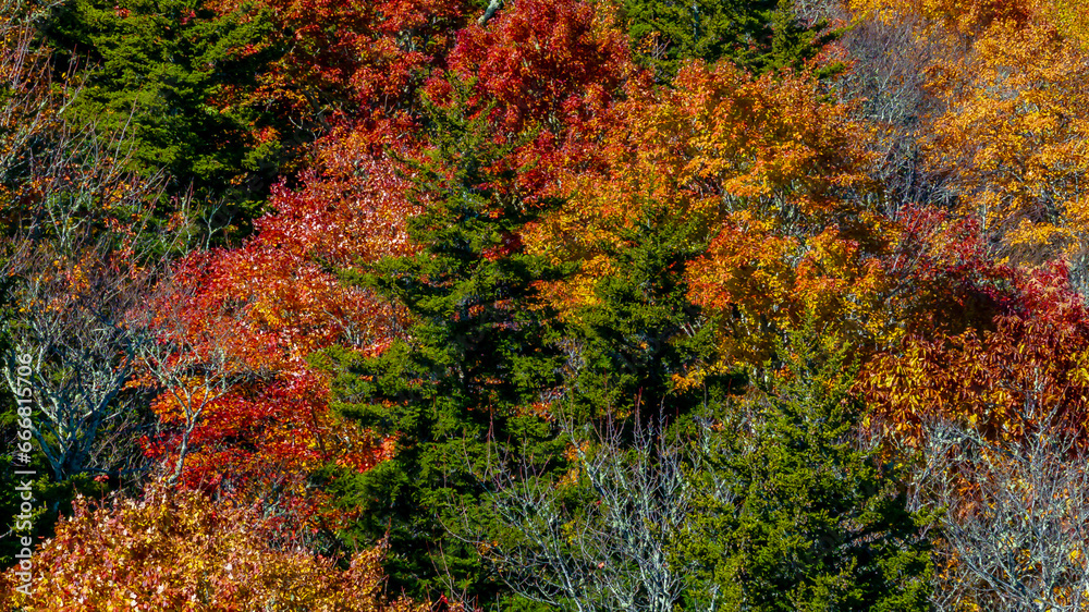 Aerial View Of The Changing Of The Leaves In The North Carolina Mountains Aerial View Of The Changing Of The Leaves In The North Carolina Mountains