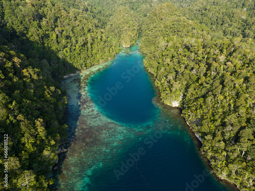 Coral reefs fringe the islands in Alyui Bay, a large body of water in Waigeo Island in Raja Ampat. This area is known as the heart of the Coral Triangle due to its incredible marine biodiversity.
