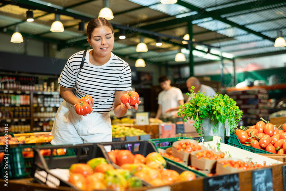 Obraz premium Interested smiling young girl shopping for organic vegetables in farm store, choosing ripe tomatoes on produce display..