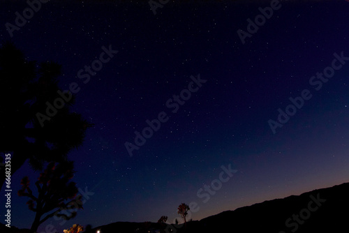 Joshua Tree National Park Starry Night Sky © Joohyung