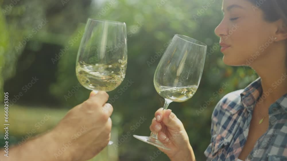 Medium shot of a romantic couple clinking glasses of wine and drinking together in the Wineyard. Slow-motion shot Medium shot of a romantic couple clinking glasses of wine and drinking together in the Wineyard. Slow-motion shot